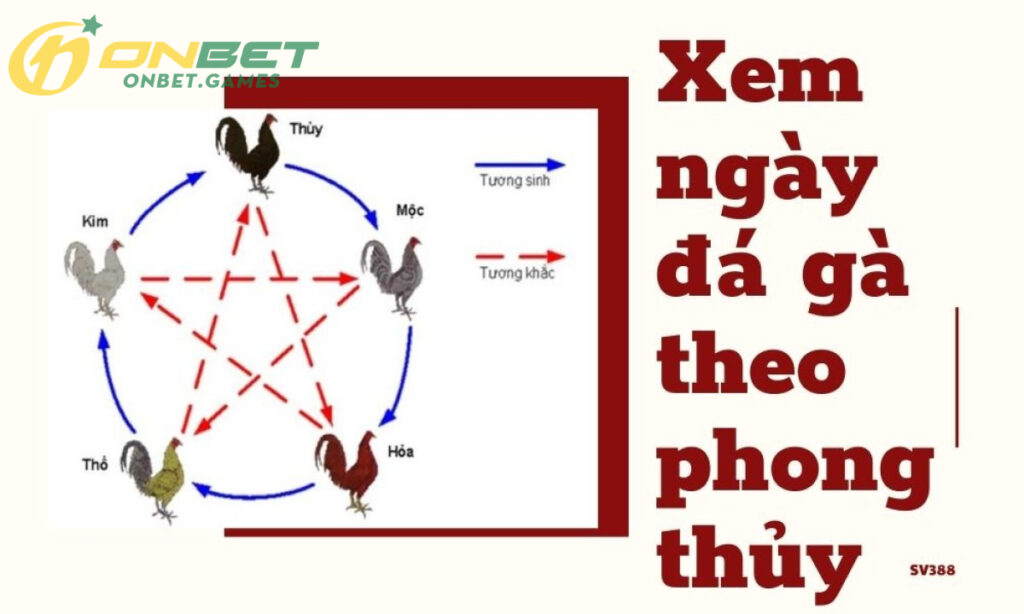 Dùng phương pháp ngũ hành phong thủy để đánh giá màu lông gà để xem ngày đá gà