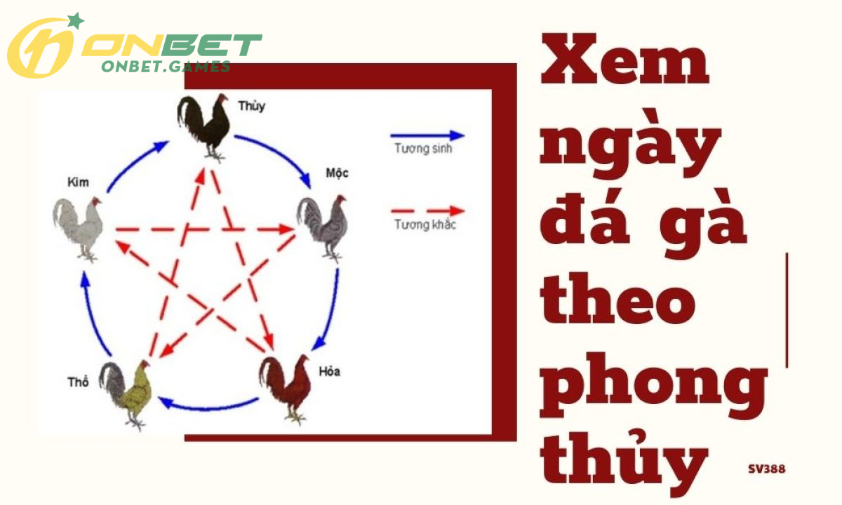 Dùng phương pháp ngũ hành phong thủy để đánh giá màu lông gà để xem ngày đá gà