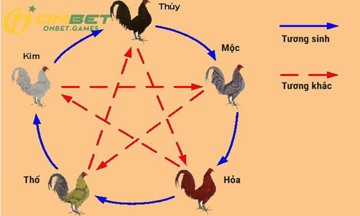Các điều cần lưu ý khi xem ngày đá gà dành cho người mới nhập môn