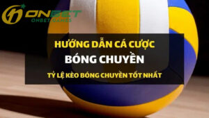 Hướng dẫn cách đặt cược bóng chuyền cho những người mới