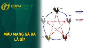 Cách xem màu mạng gà đá theo ngày có nghĩa là gì?