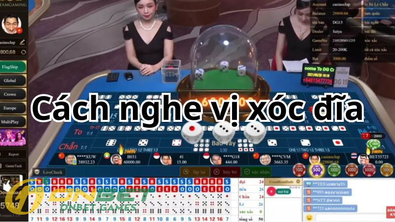 Cách nghe vị Xóc Đĩa Online chính xác nhất
