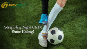 Có nên tham gia làm giàu từ cá độ bóng đá không?