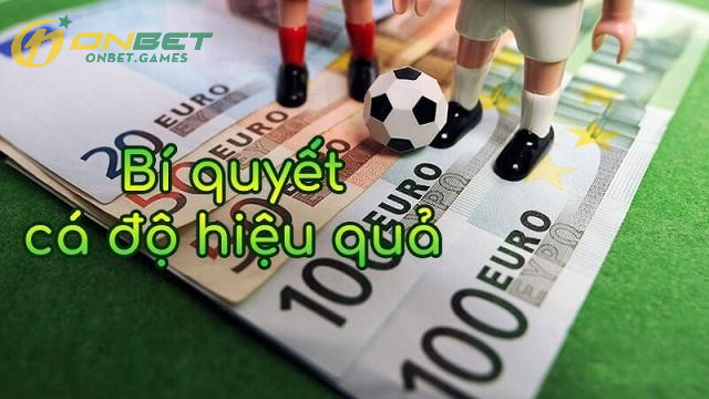 Tại sao cá độ bóng đá luôn thua và hướng giải quyết