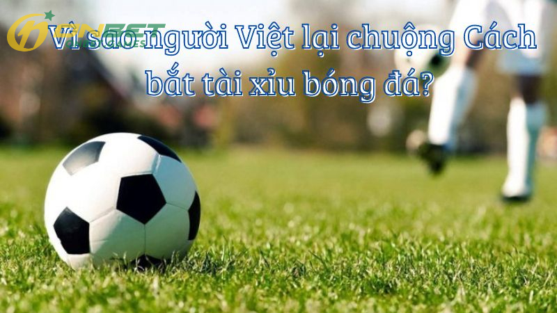 Vì sao người Việt ưa chuộng Cách Bắt Tài Xỉu Bóng Đá đến vậy?