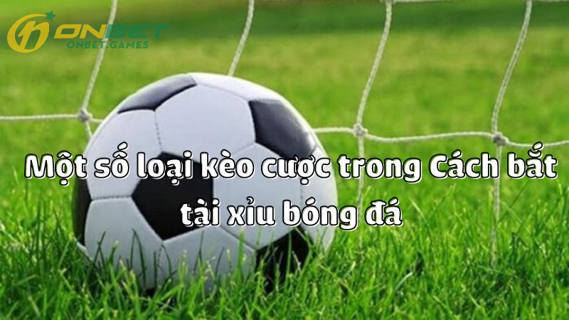 Một số loại kèo cược trong cách bắt Tài Xỉu bóng đá
