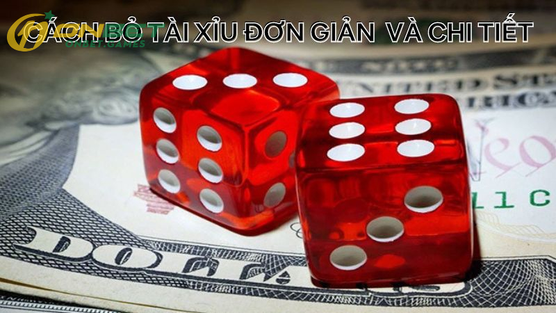 Cách Bỏ Tài Xỉu Dễ Dàng Áp Dụng Trên Thực Tế
